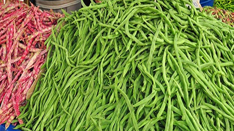 Zeytinyağlısı, etlisi, turşusu! Taze fasulyenin 3 efsane tarifi - Resim : 1