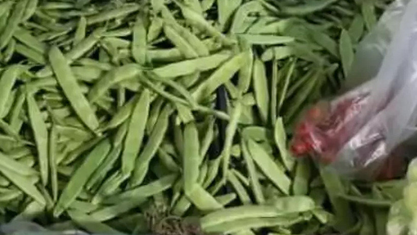 Zeytinyağlısı, etlisi, turşusu! Taze fasulyenin 3 efsane tarifi - Resim : 2