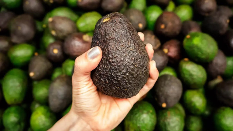 Süper gıda avokado - Resim : 1