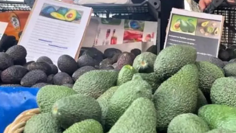 Süper gıda avokado - Resim : 2