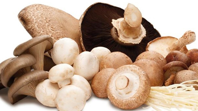 Kültür Mantarı mı, Doğal Mantar mı?! Hangisi daha sağlıklı? - Resim : 3