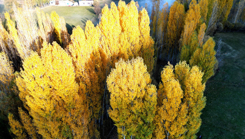 Değirmenaltı köyü büyülüyor: Sarı-Kırmızı şölen! - Resim : 4