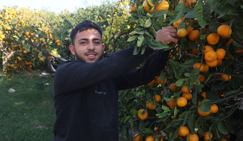 Tarlada 2 TL, markette 30 TL! Hataylı üreticiler isyanda - Resim : 2