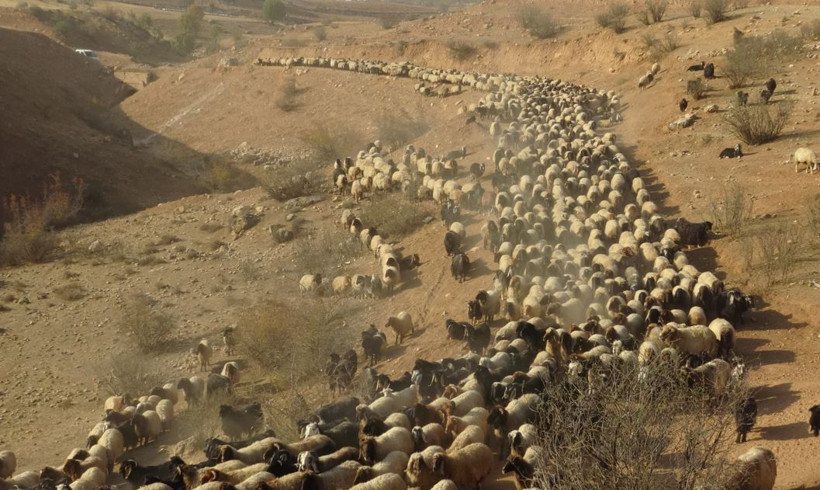 Yollarda gecen 3 aylık yolculuk başladı - Resim : 3