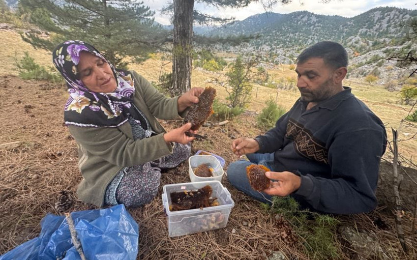 Toros Dağları'nda iz sürüyorlar görenlerin cebi para doluyor. Kimi 3 günde kimi 20 günde buluyor - Resim: 4