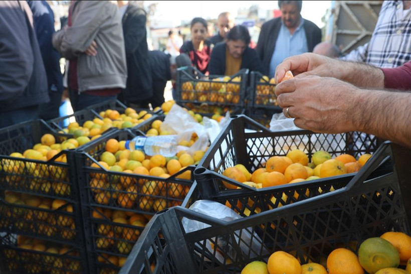 Tarlada 2 TL, markette 30 TL! Hataylı üreticiler isyanda - Resim : 3