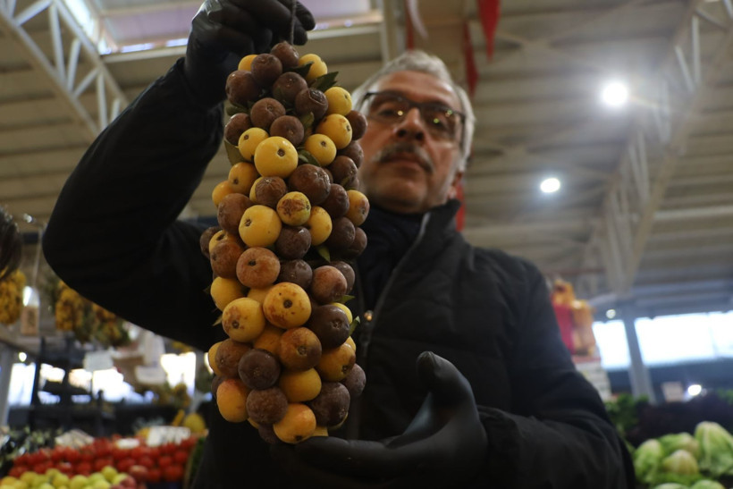 2 yılda bir yetişiyor çürüyünce tüketiliyor. Osmanlı saraylarında pekmezi yapıldı - Resim: 5