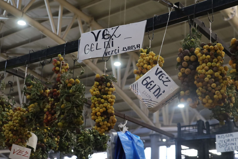 2 yılda bir yetişiyor çürüyünce tüketiliyor. Osmanlı saraylarında pekmezi yapıldı - Resim: 8