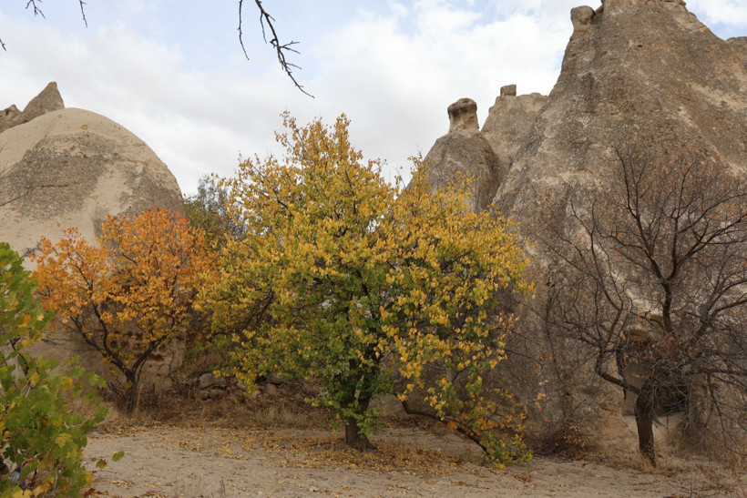 Kartpostal değil Kapadokya: Sonbahar renk kattı - Resim: 3