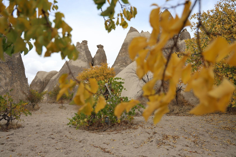 Kartpostal değil Kapadokya: Sonbahar renk kattı - Resim: 2
