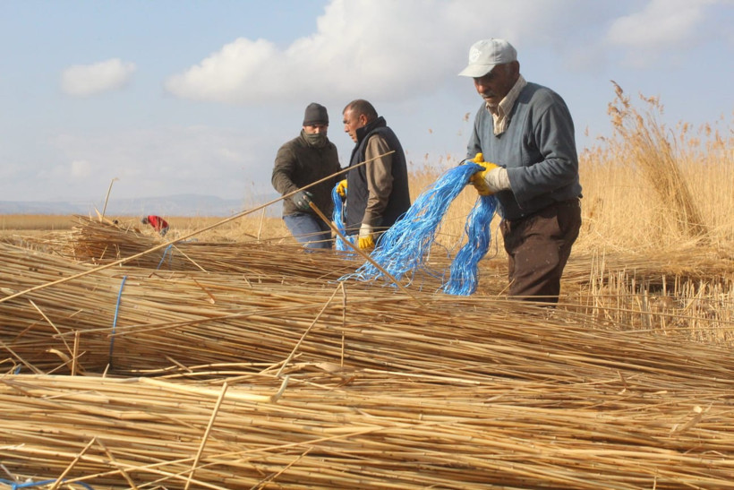 Kuraklık hasadı erkene çekti! 301 kuş türüne ev sahipliği yapıyor - Resim : 2
