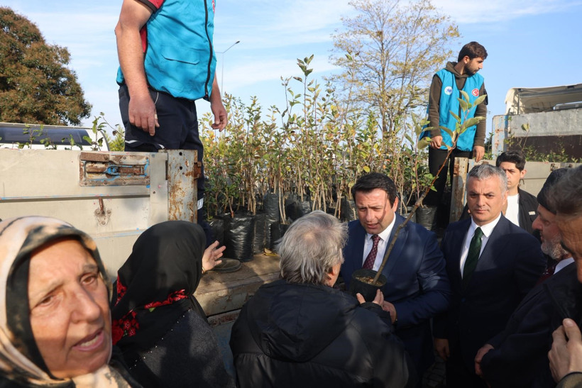 Trabzon'da dağıtılan elma ve armut fidanlarından almak için birbirleri ile yarıştılar - Resim : 2