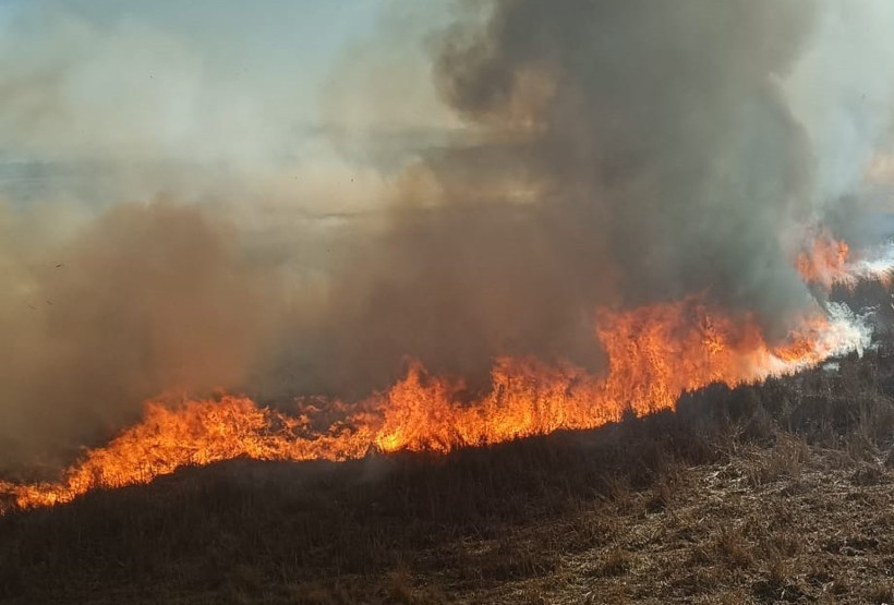 Beyşehir'de iki ayrı nokta, aynı gün: Tesadüf mü, kundak mı? - Resim : 1