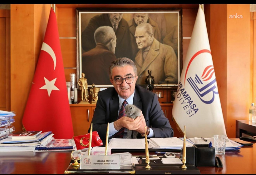 Bayrampaşa'da kedi polemiği! - Resim : 4