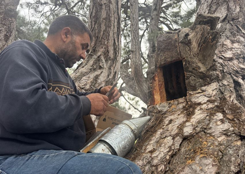 Toros Dağları'nda iz sürüyorlar görenlerin cebi para doluyor. Kimi 3 günde kimi 20 günde buluyor - Resim: 3