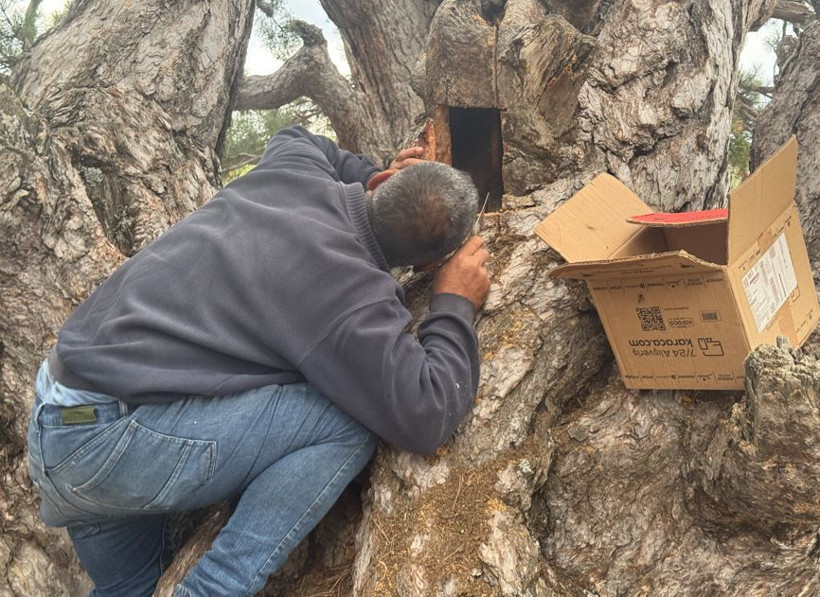 Toros Dağları'nda iz sürüyorlar görenlerin cebi para doluyor. Kimi 3 günde kimi 20 günde buluyor - Resim: 10
