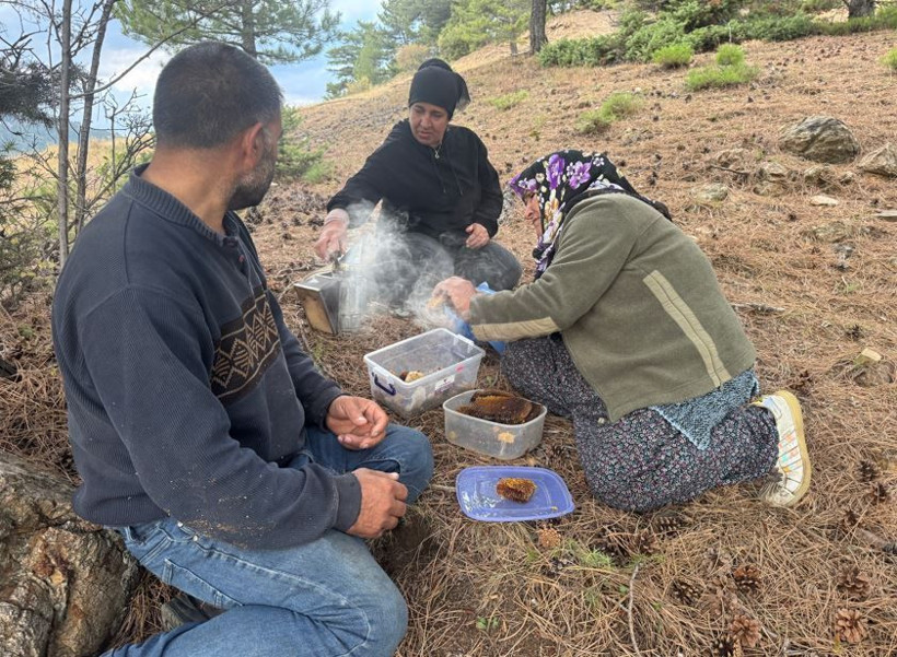 Toros Dağları'nda iz sürüyorlar görenlerin cebi para doluyor. Kimi 3 günde kimi 20 günde buluyor - Resim: 7