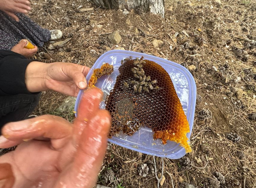 Toros Dağları'nda iz sürüyorlar görenlerin cebi para doluyor. Kimi 3 günde kimi 20 günde buluyor - Resim: 9