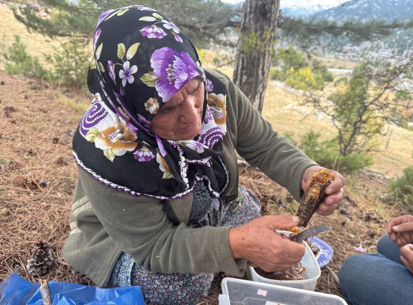 Toros Dağları'nda iz sürüyorlar görenlerin cebi para doluyor. Kimi 3 günde kimi 20 günde buluyor - Resim: 6
