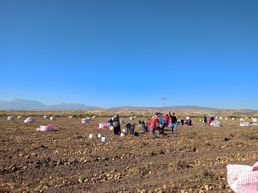 Beyşehir’de çiftçinin yüzü güldü! - Resim : 1