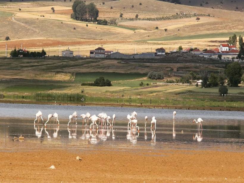 Çavuşçu Gölü tamamen kurudu - Resim : 1