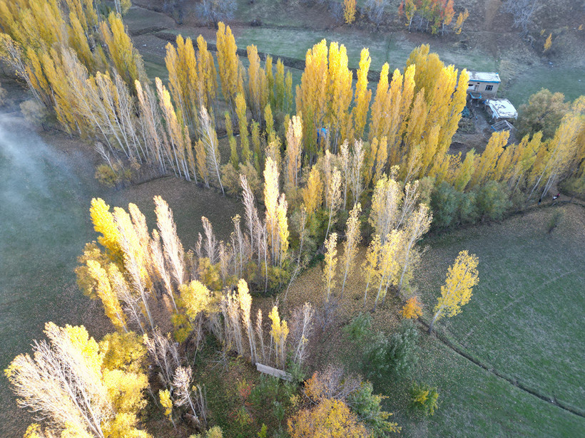 Değirmenaltı köyü büyülüyor: Sarı-Kırmızı şölen! - Resim : 2