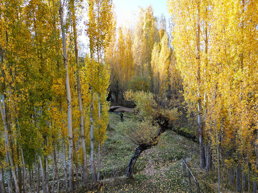 Değirmenaltı köyü büyülüyor: Sarı-Kırmızı şölen! - Resim : 5