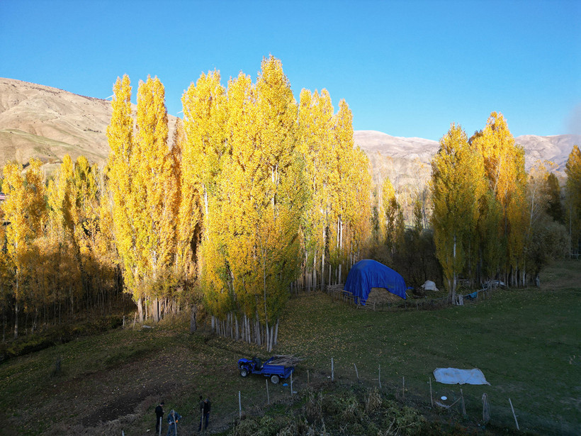 Değirmenaltı köyü büyülüyor: Sarı-Kırmızı şölen! - Resim : 8