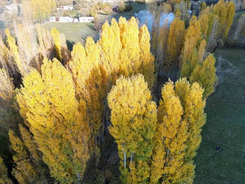 Değirmenaltı köyü büyülüyor: Sarı-Kırmızı şölen! - Resim : 9