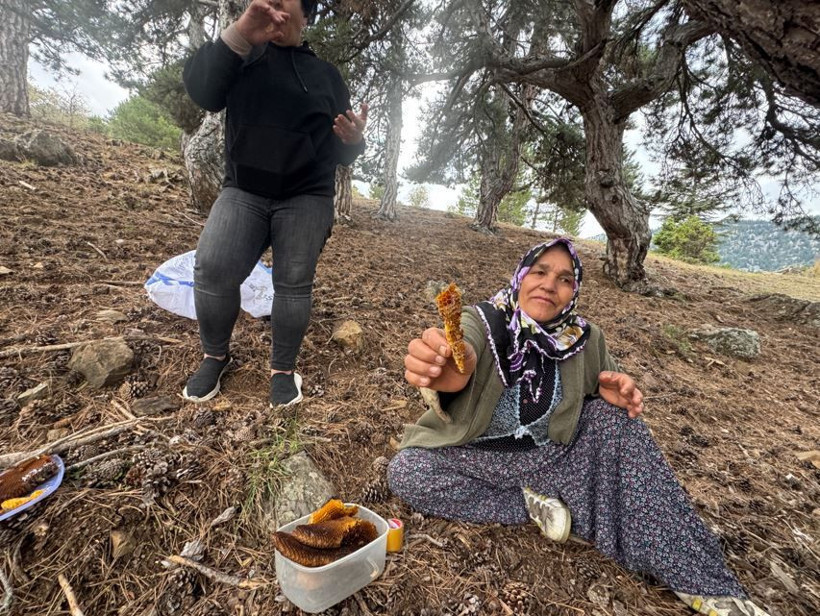 Toros Dağları'nda iz sürüyorlar görenlerin cebi para doluyor. Kimi 3 günde kimi 20 günde buluyor - Resim: 8