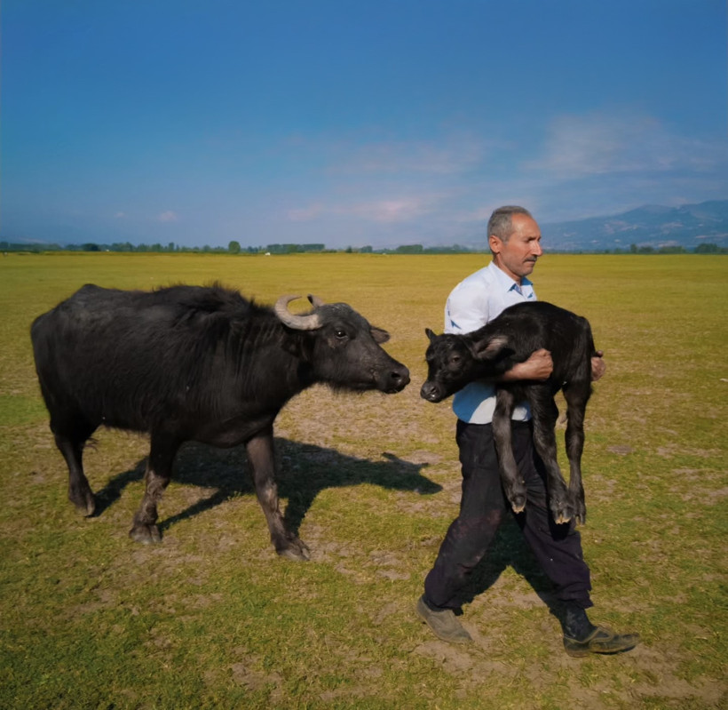 Tokatlı simitçinin Paris’teki ödül sevincine vize engeli - Resim : 1