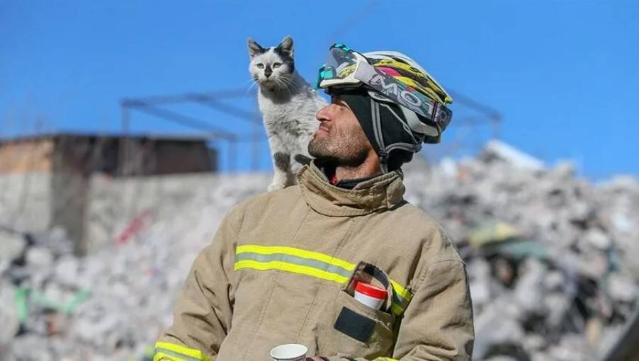 6 konuda 6 bilgi. Küçümsemeyin hepsi bir gün lazım olur - Resim: 4