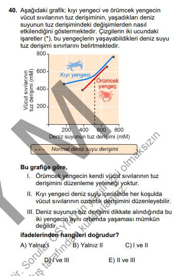 YKS sınavında çıkacak 20 garanti soru - Resim: 14