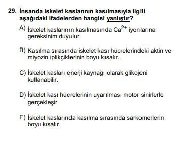 YKS sınavında çıkacak 20 garanti soru - Resim: 16