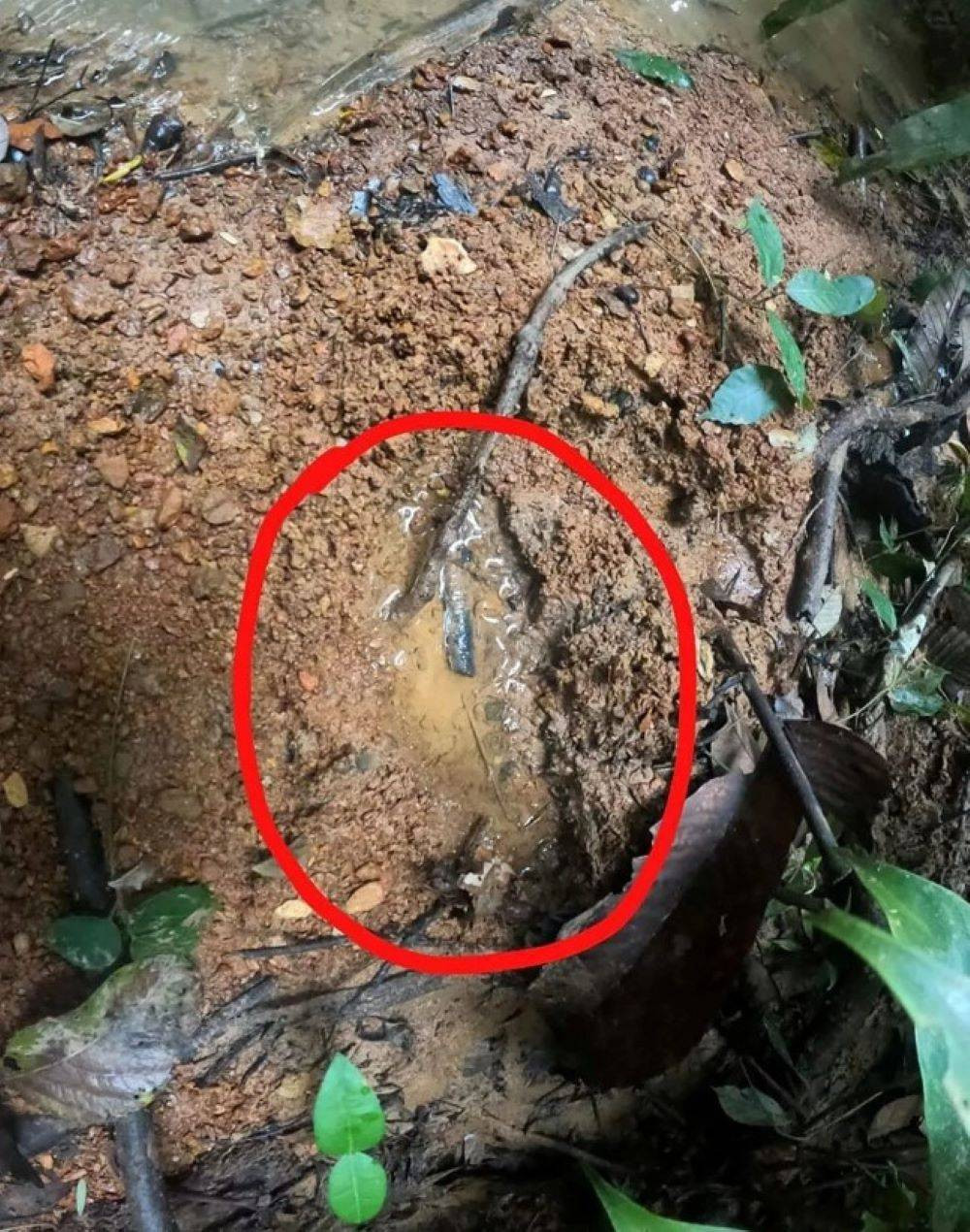 Uçak kazasından 40 gün sonra mucize - Resim: 8