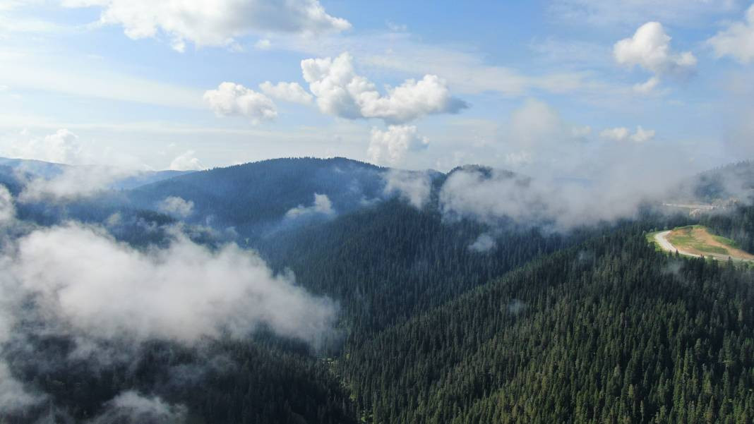 Ilgaz Dağı'nda kartpostallık görüntüler görenleri hayran bıraktı - Resim: 5