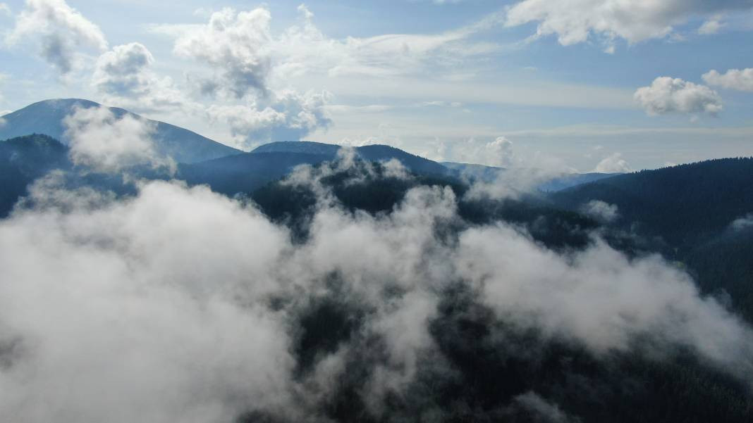 Ilgaz Dağı'nda kartpostallık görüntüler görenleri hayran bıraktı - Resim: 6