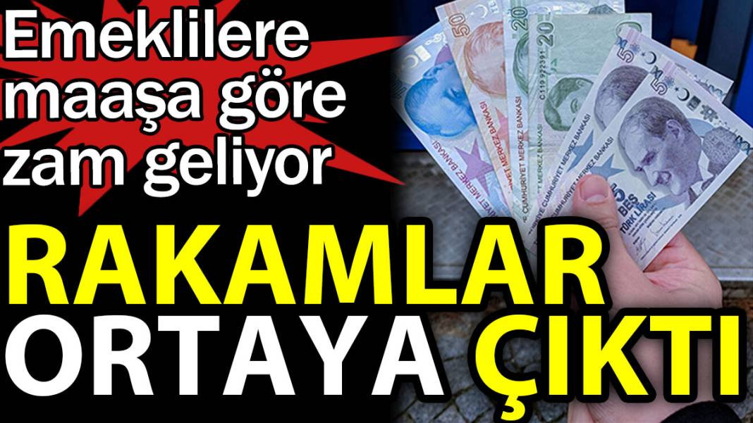 Emeklilere maaşa göre zam geliyor. Rakamlar ortaya çıktı - Resim: 1