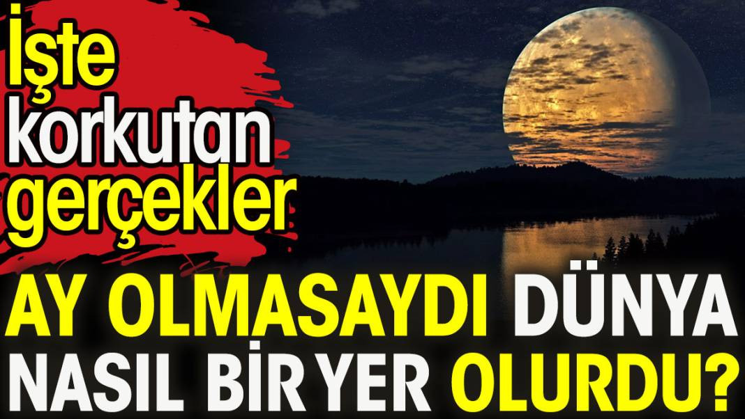 Ay olmasaydı dünya nasıl bir yer olurdu? İşte korkutan gerçekler - Resim: 1