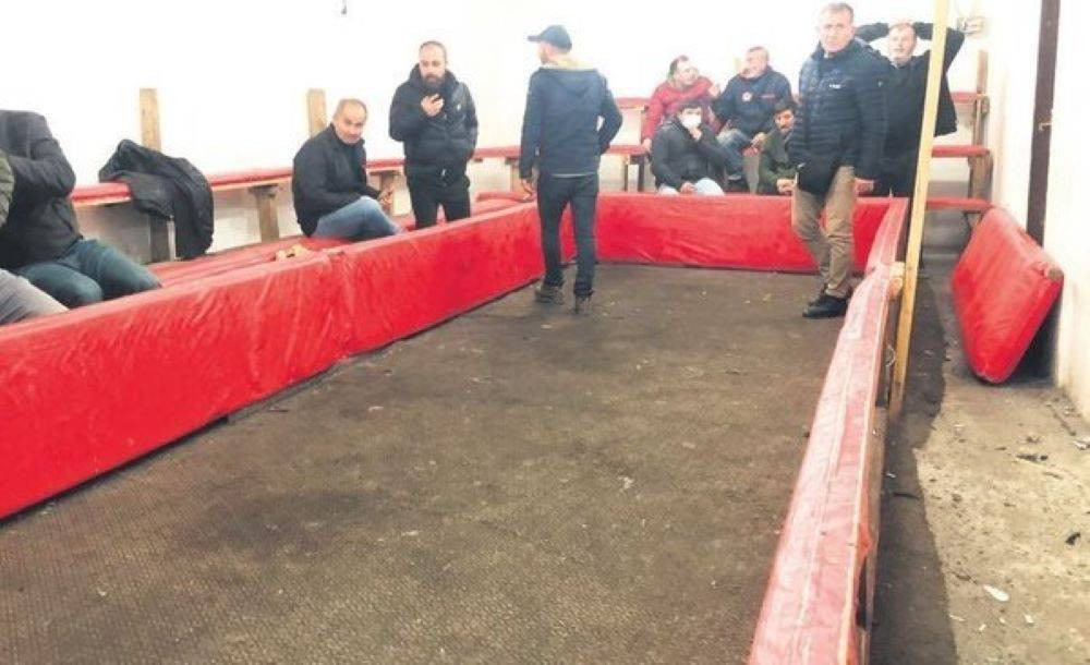 Hayvanları Koruma Derneği Başkanı horoz dövüşçüsü çıktı. Özel ring bile yaptırmış - Resim: 4