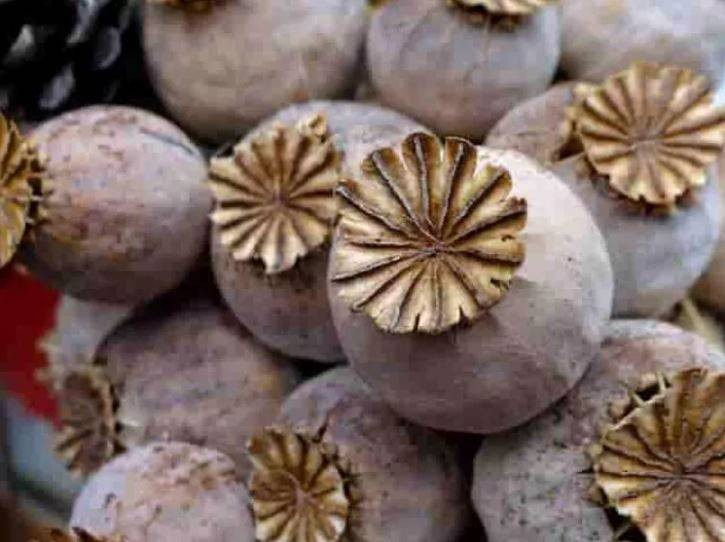 Uykusuzluk çekenlerin bir avuç yemesi bile yeterli! Vücuda tıka basa vitamin depoluyor - Resim: 4