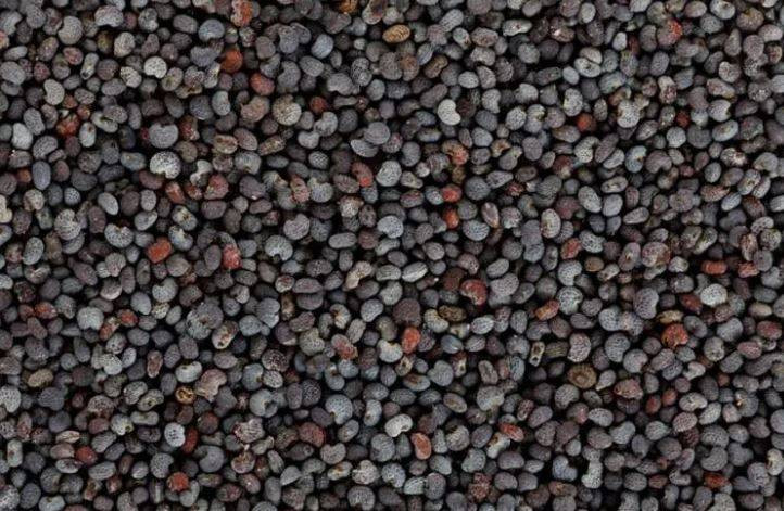 Uykusuzluk çekenlerin bir avuç yemesi bile yeterli! Vücuda tıka basa vitamin depoluyor - Resim: 1