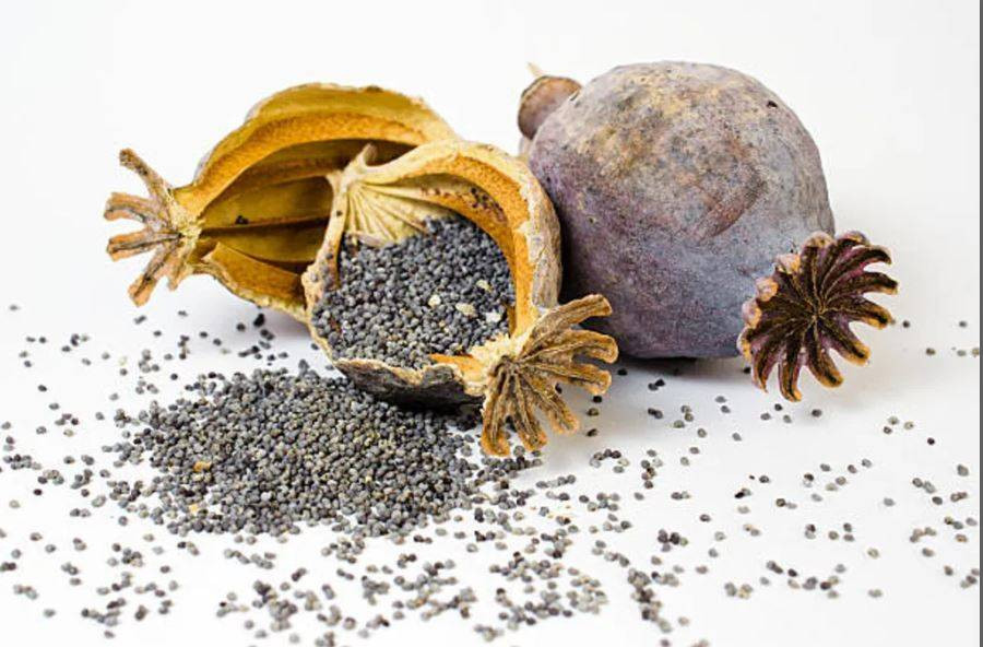 Uykusuzluk çekenlerin bir avuç yemesi bile yeterli! Vücuda tıka basa vitamin depoluyor - Resim: 11