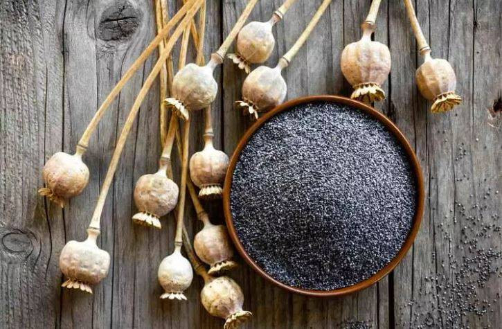 Uykusuzluk çekenlerin bir avuç yemesi bile yeterli! Vücuda tıka basa vitamin depoluyor - Resim: 8