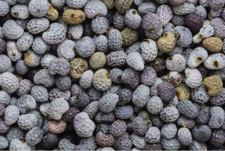 Uykusuzluk çekenlerin bir avuç yemesi bile yeterli! Vücuda tıka basa vitamin depoluyor - Resim: 6