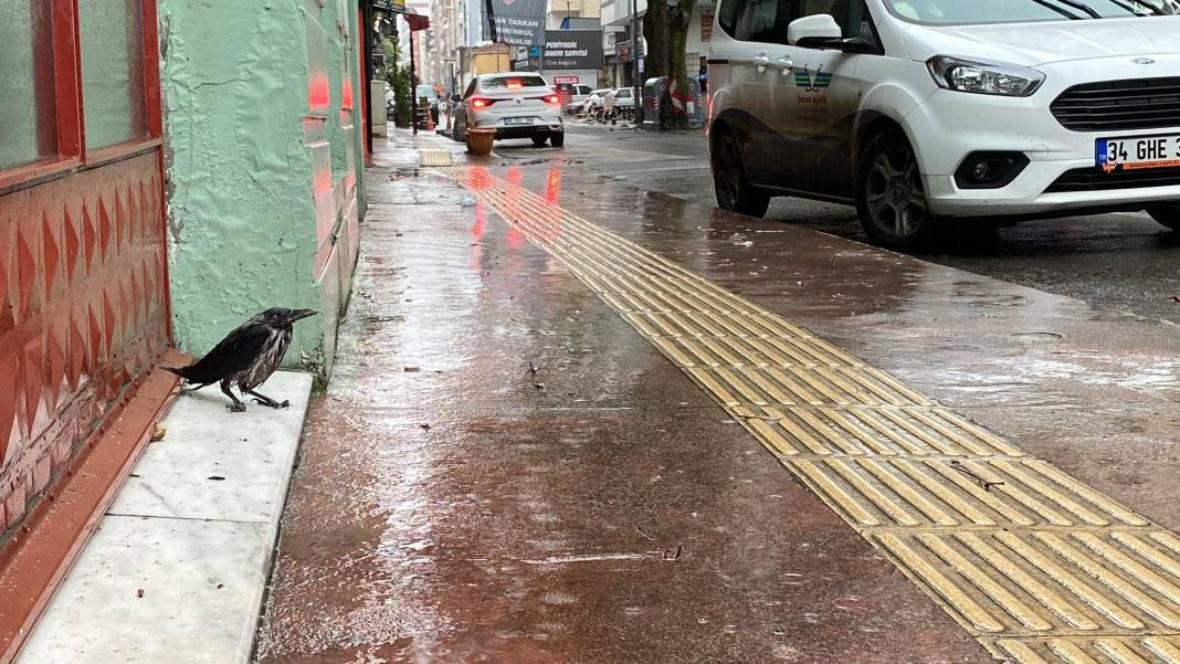 Samsun’da alarm! Cadde ve sokaklar göle döndü: 1 kişi hayatını kaybetti - Resim: 18