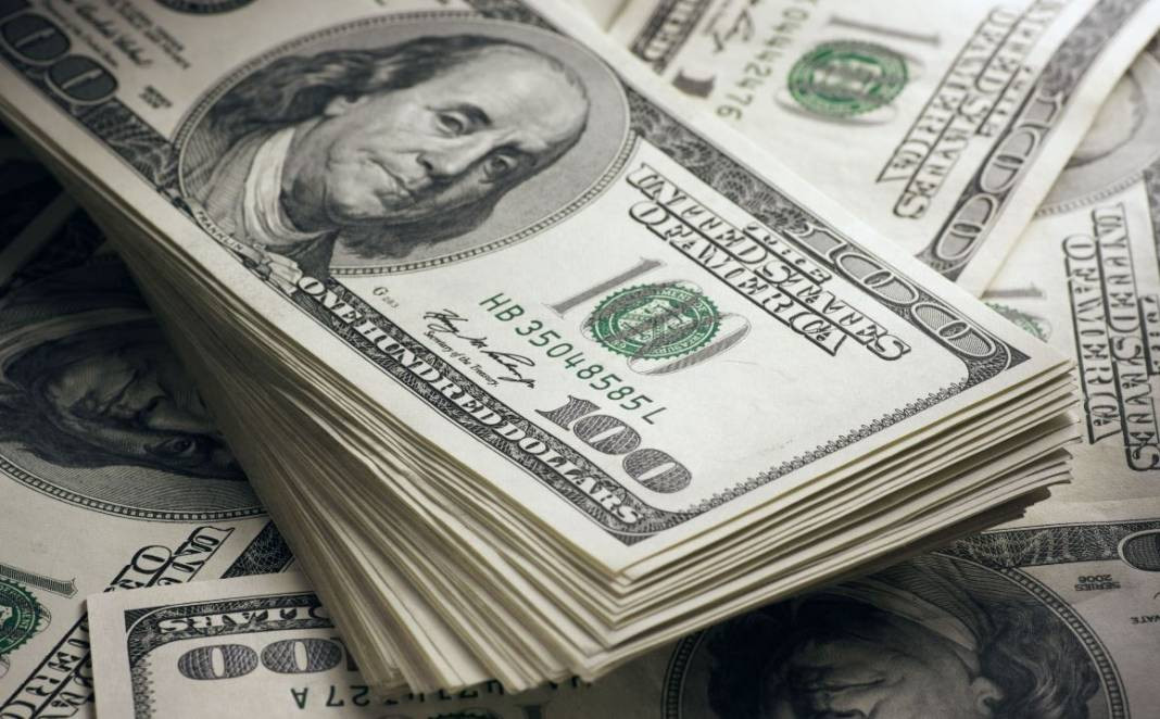 Selçuk Geçer doların 30 TL olacağı tarihi açıkladı. Kopacak fırtınayı duyurdu - Resim: 11