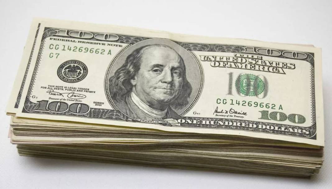 Selçuk Geçer doların 30 TL olacağı tarihi açıkladı. Kopacak fırtınayı duyurdu - Resim: 12