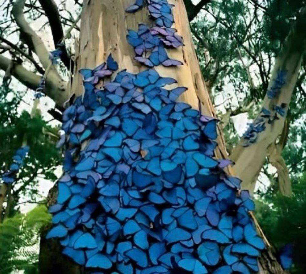 Cesetlerin gömülü yerlerini mavi kelebekler buldu. Srebrenitsa katliamında kelebeklerin sırrını öğrenince tüyleriniz diken diken olacak - Resim: 7