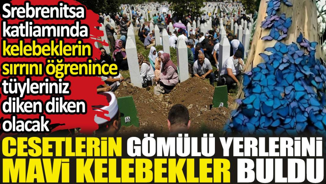Cesetlerin gömülü yerlerini mavi kelebekler buldu. Srebrenitsa katliamında kelebeklerin sırrını öğrenince tüyleriniz diken diken olacak - Resim: 1
